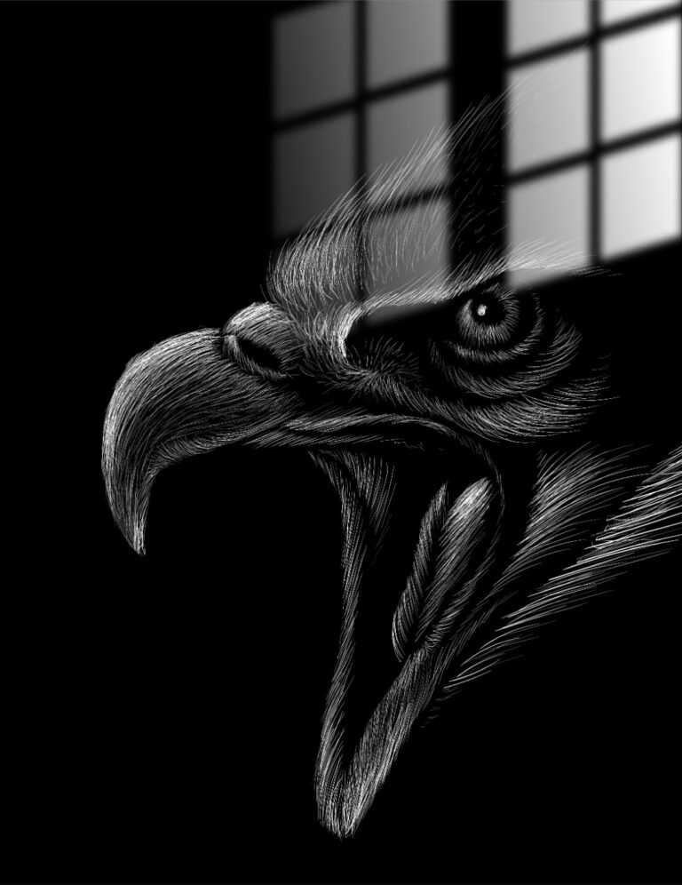 Black Eagle