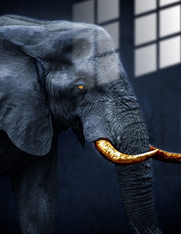 Elefant (2)